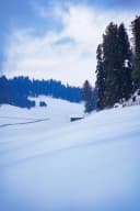 Shishir Ritu (Indian Winter)
