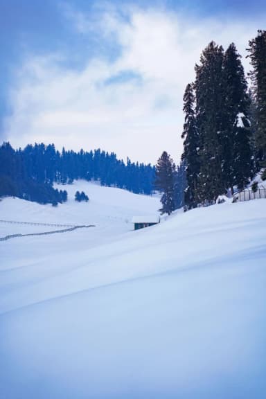 Shishir Ritu (Indian Winter)